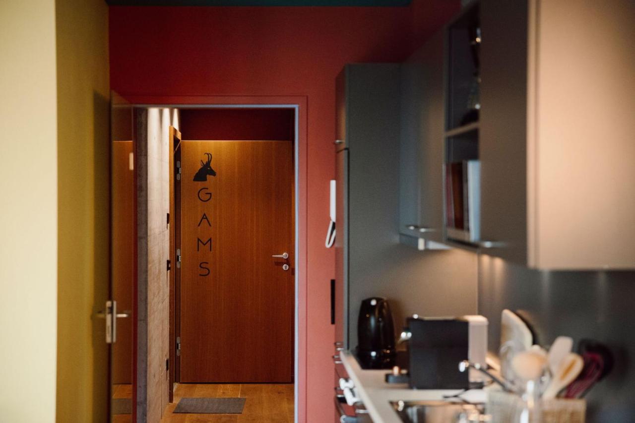 Appartement Schwarz 상트조한임퐁가우 외부 사진
